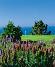 Los Verdes Golf Course image 3