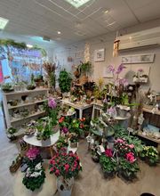 Atelier Nature image 4