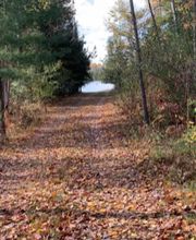 Woodlands Acres Campground image 15