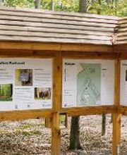 FriedWald Planitzwald Bild 3