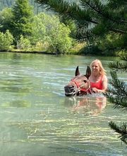 Wohlis Kutschbetrieb &  Ginas Reitschule Bild 9