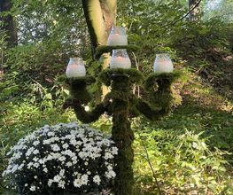 Wald-Zeremonien Bild 3