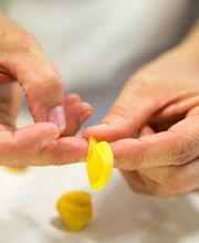 Gallery Professionale