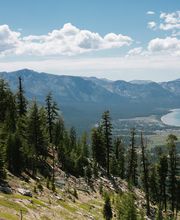 Felicia Events image 12