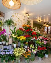 Les Fleurs de Cuers image 13