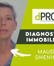 dPRO - Diagnostic immobilier et expertise image 1