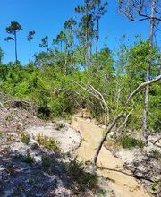 Florida Showcase Realty, LLC image 7