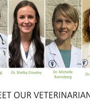 Walnut Creek Veterinary Clinic image 2