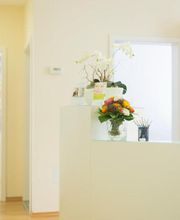 Dr. Thomas Niegel + Kollegen Fachzahnärzte für Kieferorthopädie Bild 1