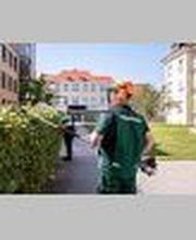 Piepenbrock Begrünungen GmbH + Co. KG | Garten- und Landschaftsbau | Technischer Gebäudeservice Bild 1