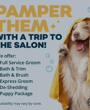 Petsense by Tractor Supply image 3