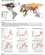 IFCN Dairy Research Network Bild 3