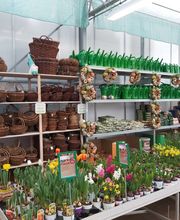 Pirig Gartencenter Bild 3