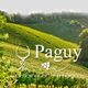 Domaine De Paguy SCEA