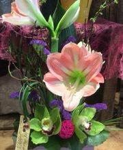A Fleur De Pot image 6
