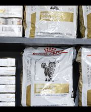 West Ridge Animal Hospital image 5