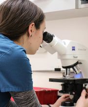 Dublin Veterinary Hospital image 17