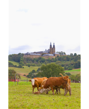 Herzogl. Bayerisches Forstgut, Forstgut Banz Bild 4