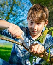 Weber's World Bild 2