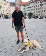 Dog's red line Bild 3