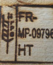 BFMP image 9
