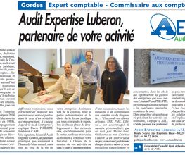 AEL AUDIT image 1