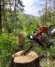 Baumdienst Herrmann Bild 6