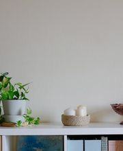 c54f8461-8e45-459d-bc81-318dc6927df0.jpg