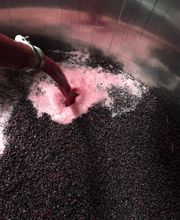 Fleurot Louis image 3