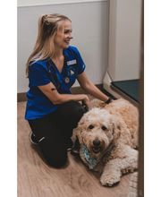 Caring Hands Animal Hospital - Merrifield image 2