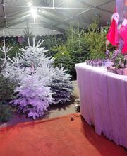 Aux Relooking image 14