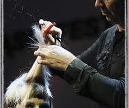 Attitudes Coiffure image 2