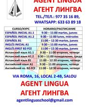 Agent Lingua imagen 6