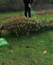 Natur & Florum image 7