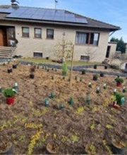 Haus-Garten-Service Bild 6