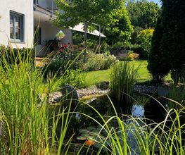 Die Gartenmalerin - Andrea Meitinger Bild 3