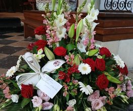 Nel Fleur image 8