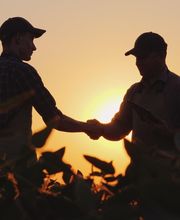 JOSE ANTONIO MOLINA imagen 7