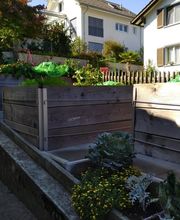 Ledergerber Gartenpflege AG Bild 9