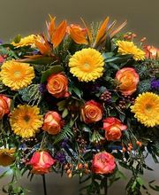 Meneghelli & Co Bild 5