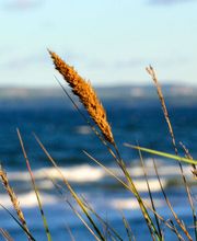 Zahnärztin Annina Borowiak Bild 1