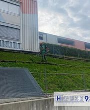 House 9.9 Sagl Bild 13