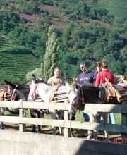 Domaine Mourguy image 8