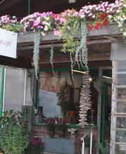 Blütenpracht Hirschi GmbH Bild 2