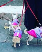 Giuliana Andreoli immagine 6