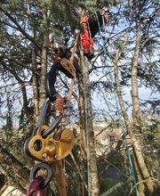 Au Pic de l'Arbre image 3