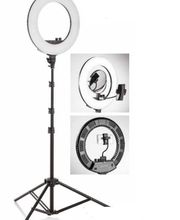 EsteticaeD3sign immagine 5