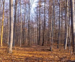 FriedWald Wolfenbüttel Bild 9