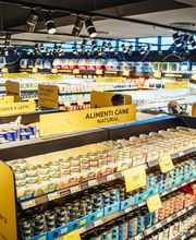 Arcaplanet immagine 1