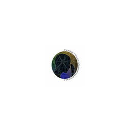 Brunco Dott. Rosario Psicologo, psicoterapeuta, ipnosi logo